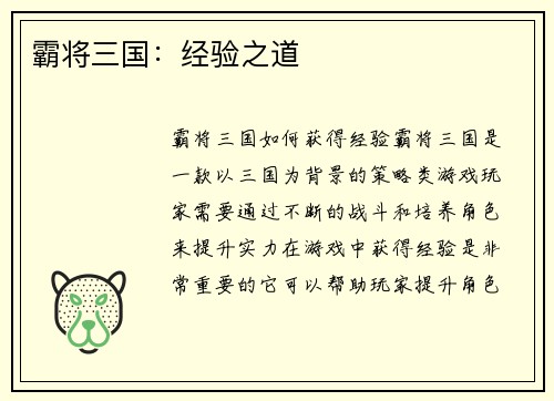 霸将三国：经验之道